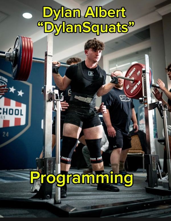 Dylansquats Programming 